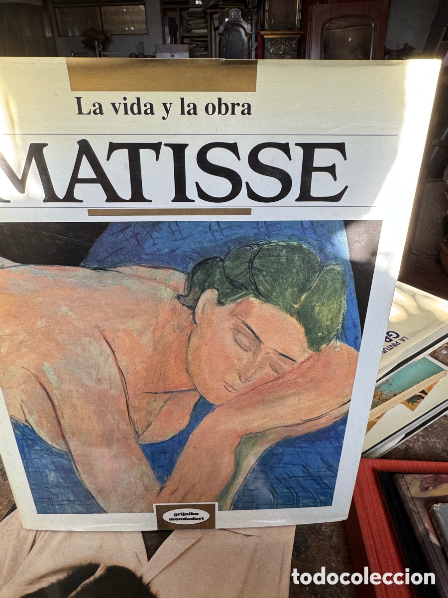 Libros de segunda mano: Libro vida y obra de Matisse - Foto 1