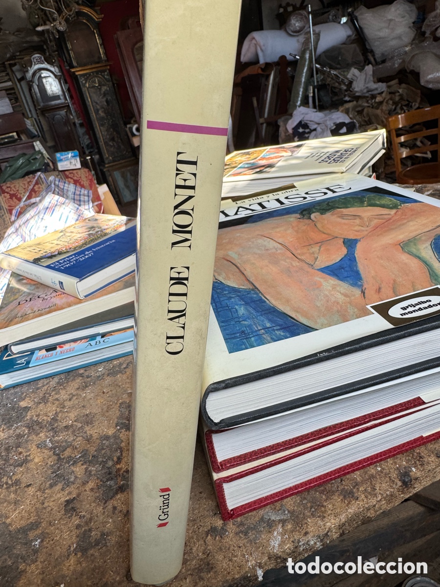 Libros de segunda mano: Libro de pintura Monet - Foto 1