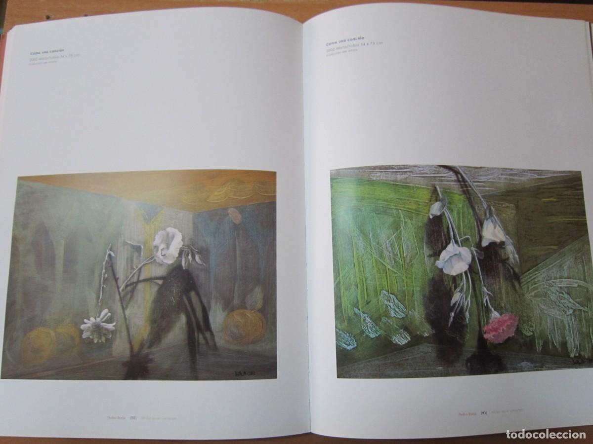 Libros de segunda mano: Mi luz no se corrompe, de Pedro Borja - Foto 3