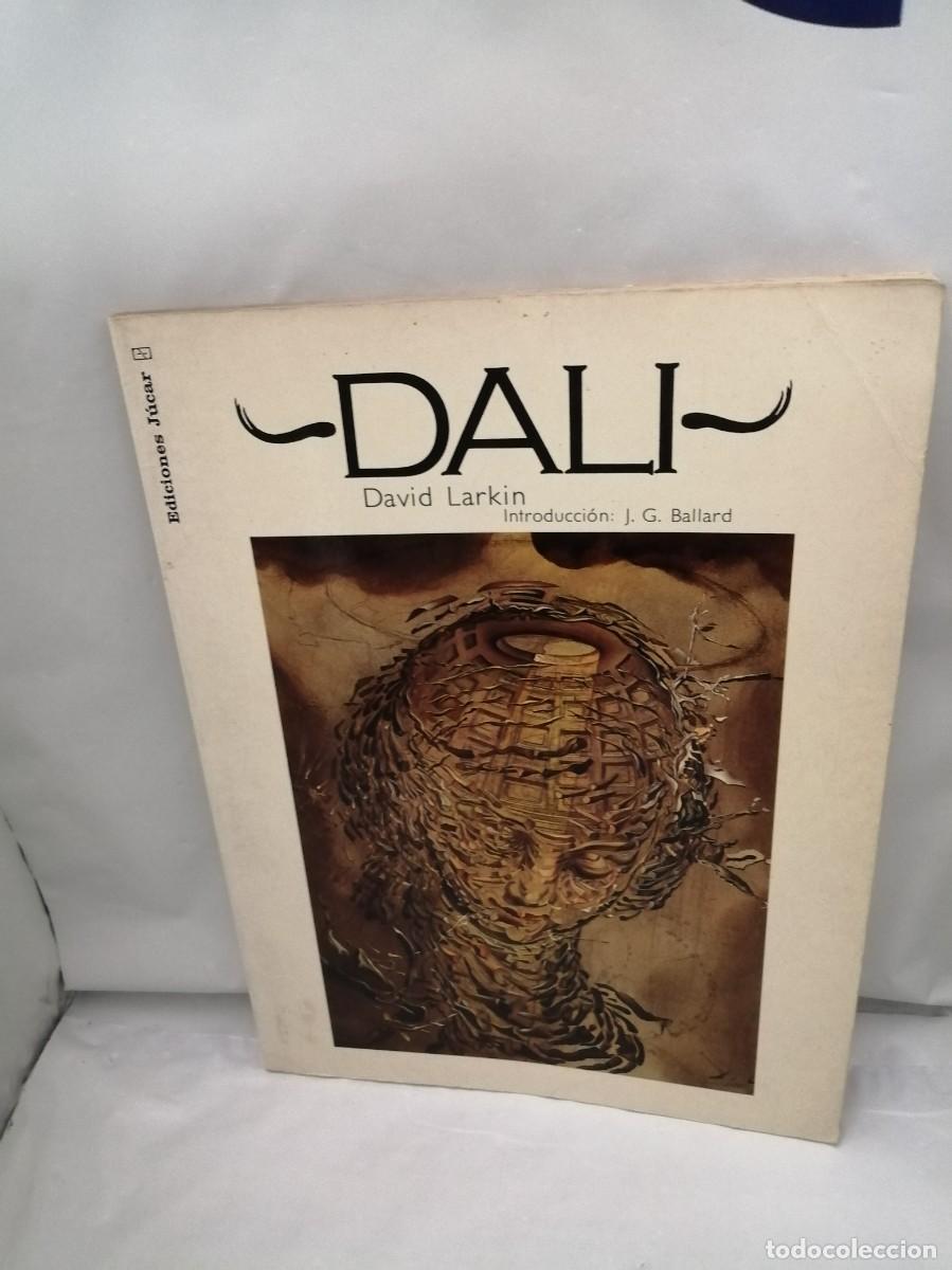 Libros de segunda mano: David Larkin: DAL&Iacute; (Primera edici&oacute;n) - Foto 1