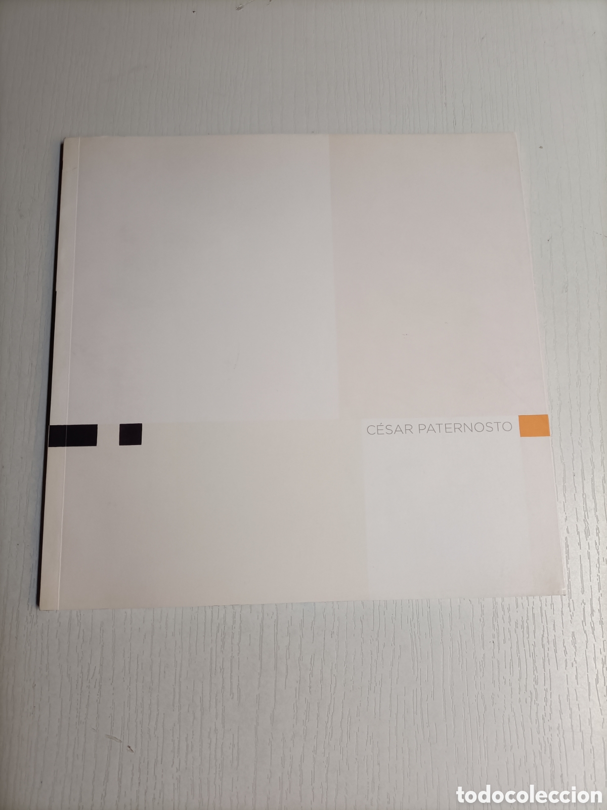 Libros de segunda mano: C&eacute;sar Paternosto. Galer&iacute;a Dan 2015 - Foto 2