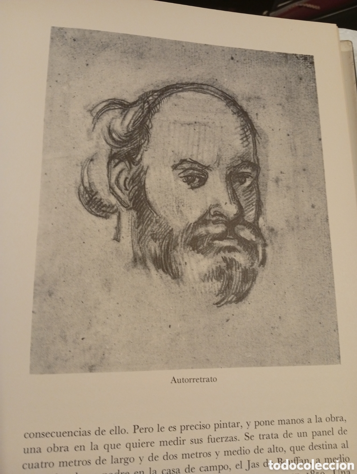 Libros de segunda mano: PAUL C&Eacute;ZANNE. DIBUJOS. EDICIONES POL&Iacute;GRAFA. 1979. - Foto 12