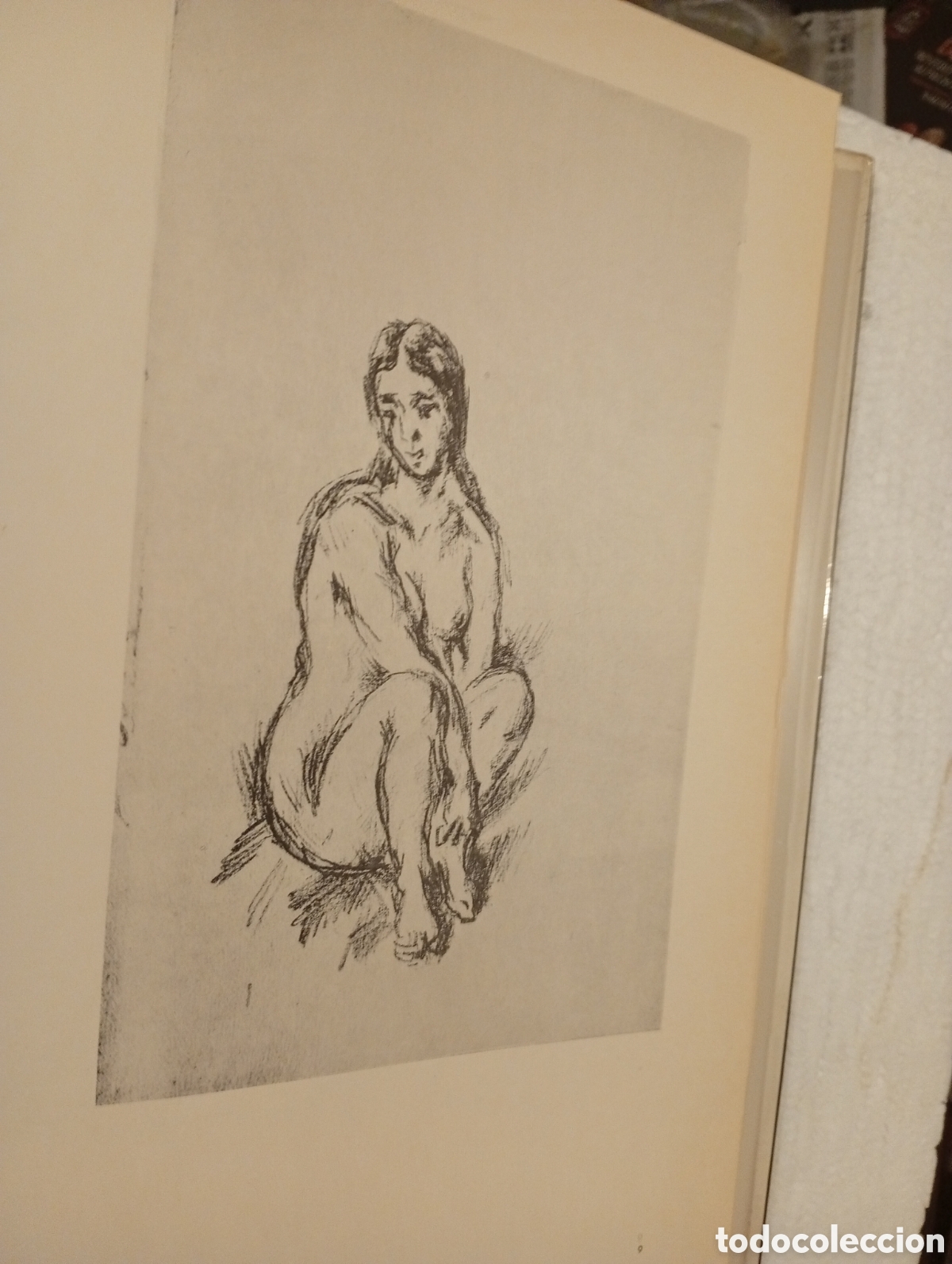 Libros de segunda mano: PAUL C&Eacute;ZANNE. DIBUJOS. EDICIONES POL&Iacute;GRAFA. 1979. - Foto 19