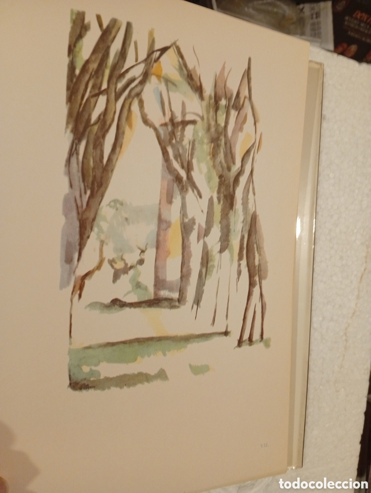 Libros de segunda mano: PAUL C&Eacute;ZANNE. DIBUJOS. EDICIONES POL&Iacute;GRAFA. 1979. - Foto 22