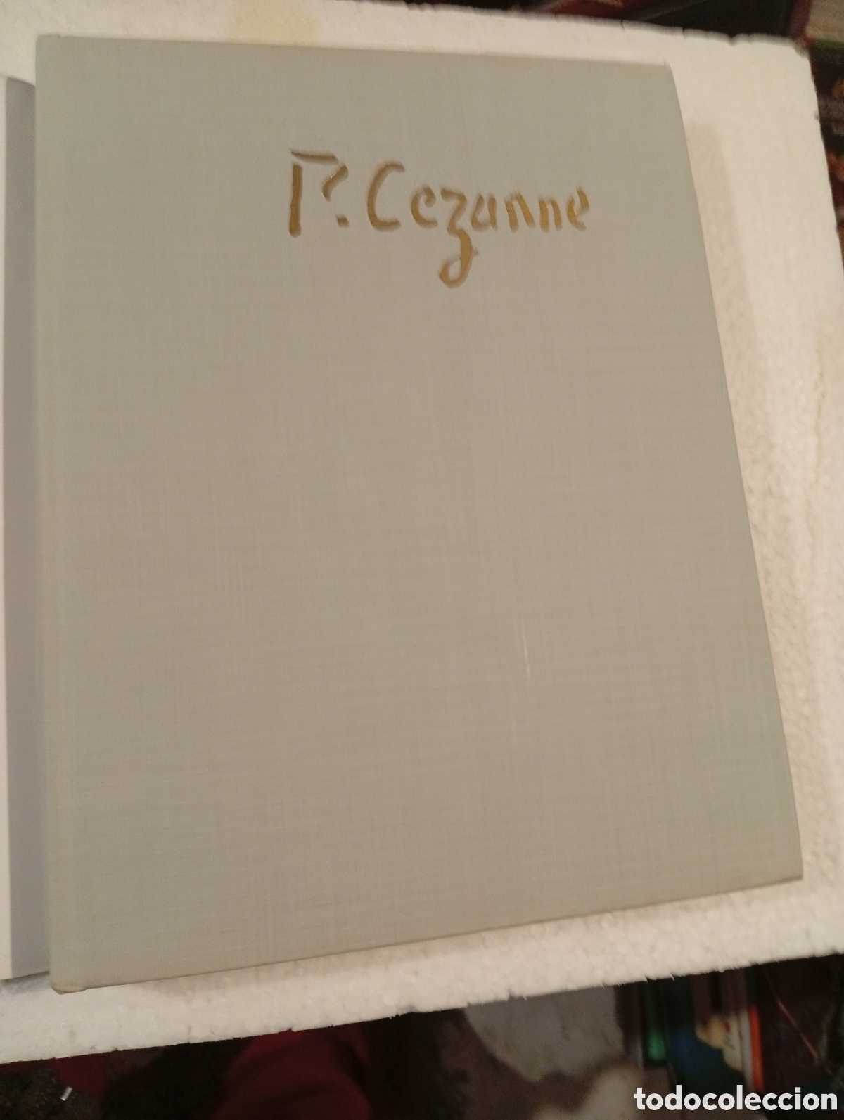 Libros de segunda mano: PAUL C&Eacute;ZANNE. DIBUJOS. EDICIONES POL&Iacute;GRAFA. 1979. - Foto 29