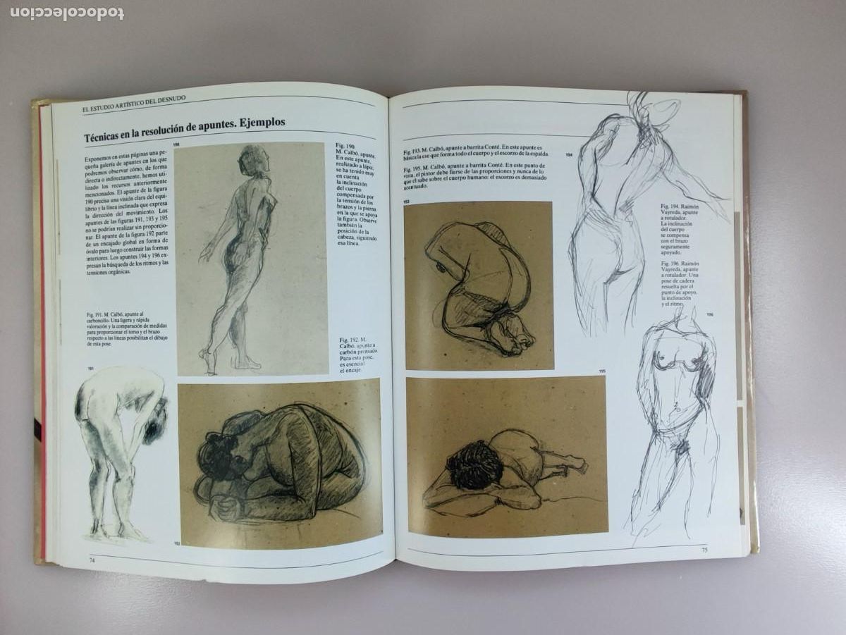Libros de segunda mano: EL GRAN LIBRO DEL DESNUDO / 1&ordf;ed. 1994. PARRAM&Oacute;N - Foto 5