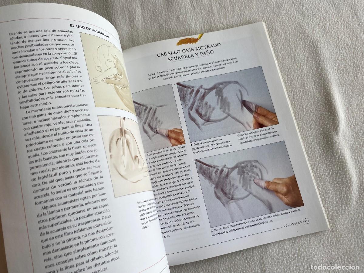 Libros de segunda mano: DIBUJO DE ANIMALES - LIBSA - Foto 4