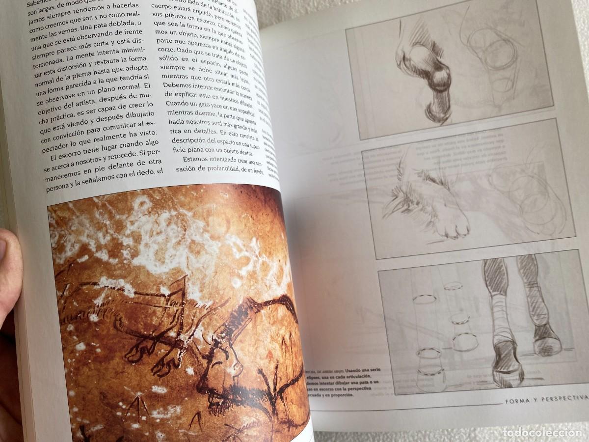 Libros de segunda mano: DIBUJO DE ANIMALES - LIBSA - Foto 7