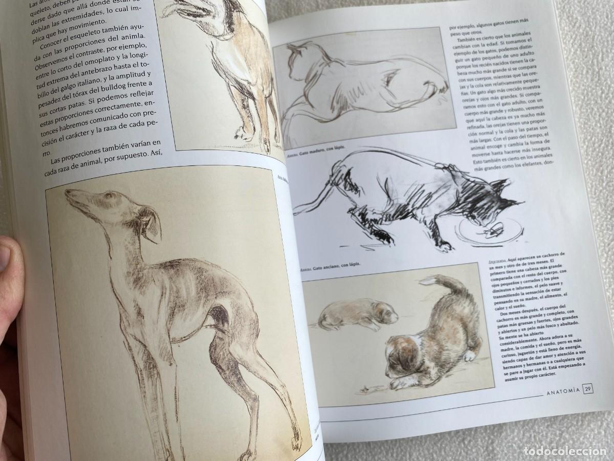 Libros de segunda mano: DIBUJO DE ANIMALES - LIBSA - Foto 8
