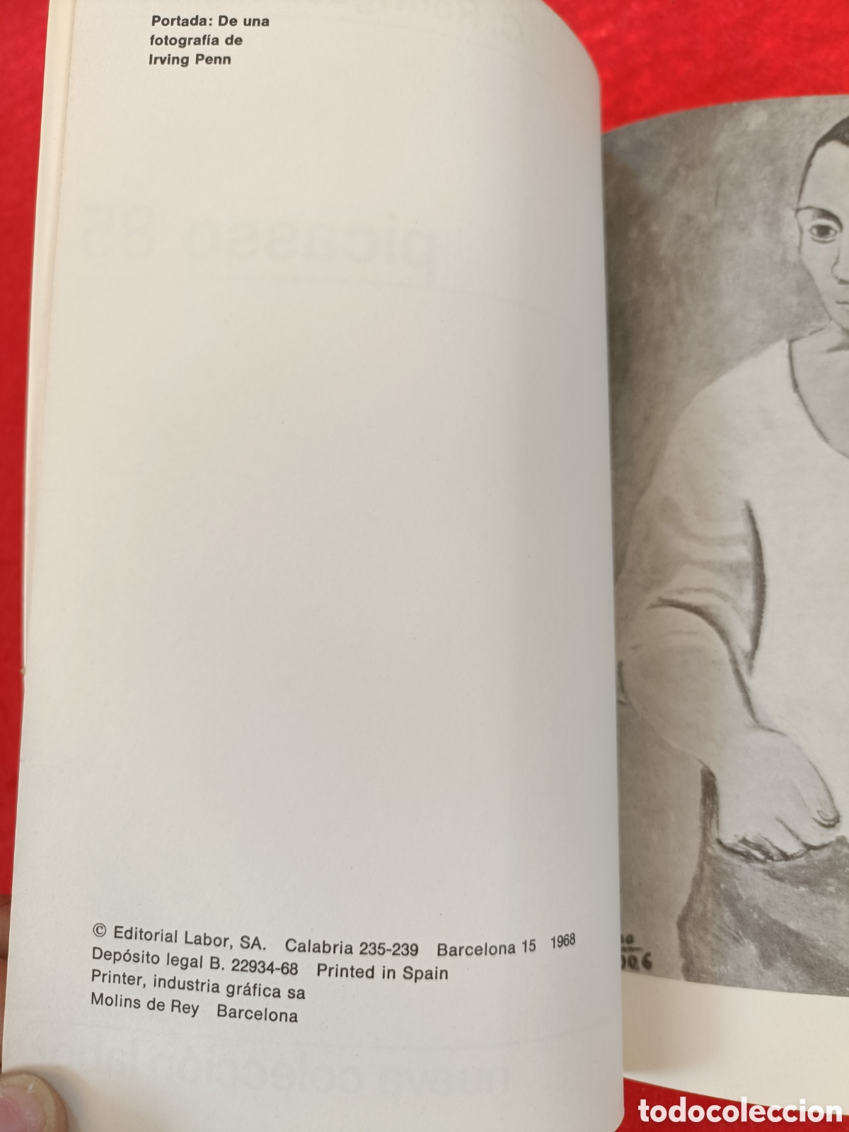 Libros de segunda mano: PICASSO 85. C. RODR&Iacute;GUEZ -AGUILERA. - Foto 6