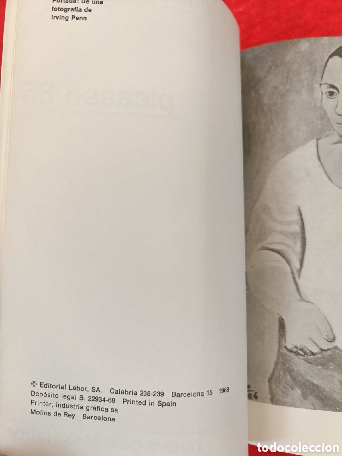 Libros de segunda mano: PICASSO 85. C. RODR&Iacute;GUEZ -AGUILERA. - Foto 7