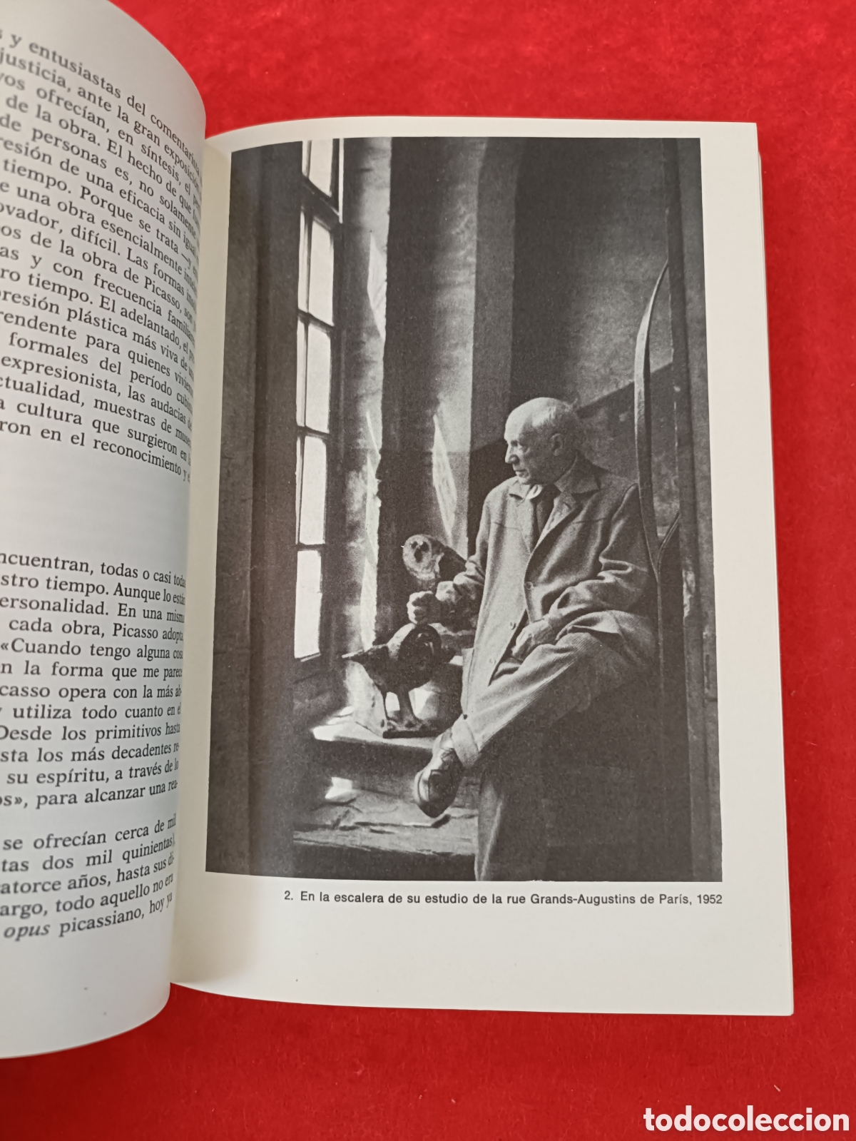 Libros de segunda mano: PICASSO 85. C. RODR&Iacute;GUEZ -AGUILERA. - Foto 10