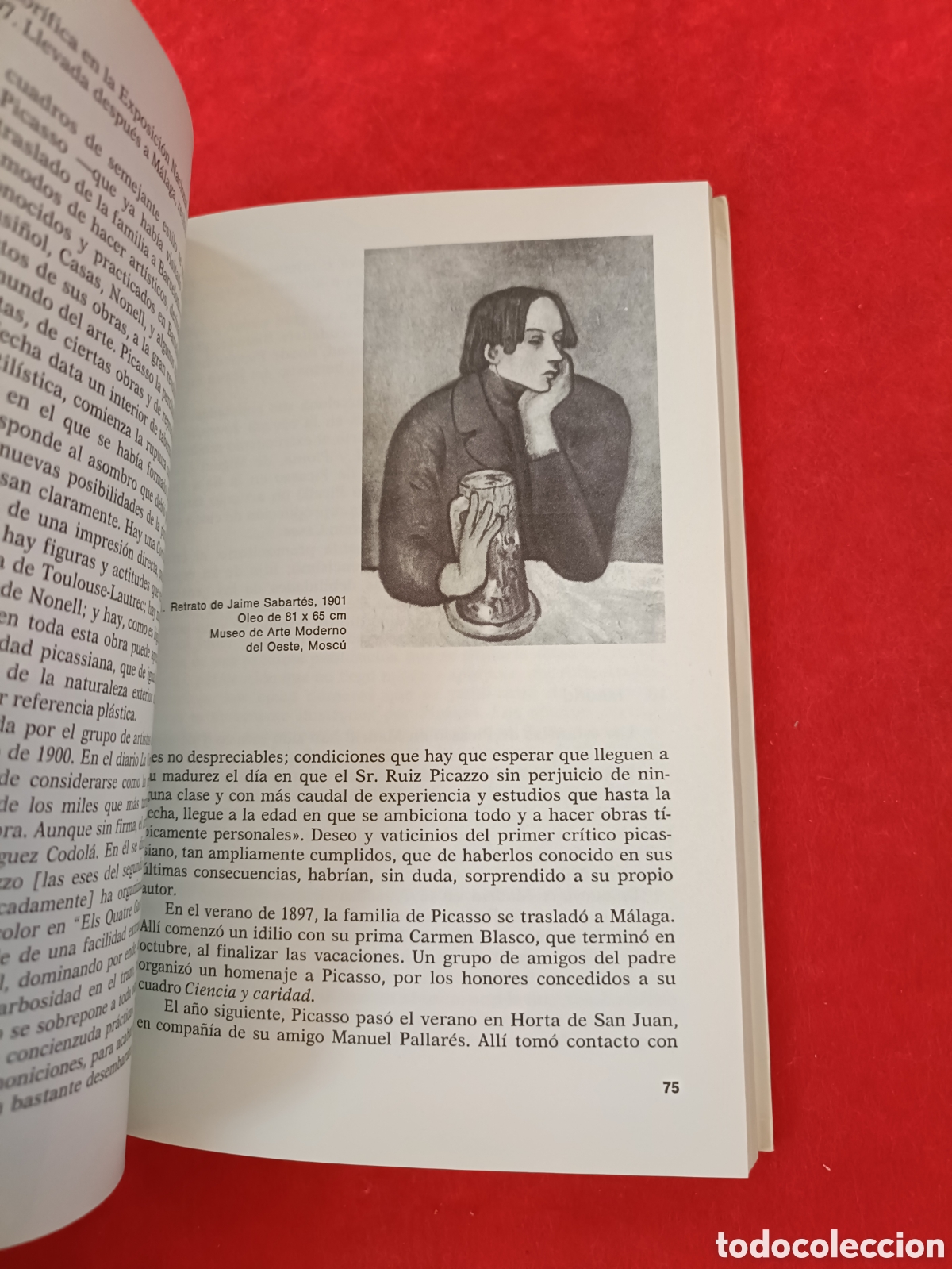 Libros de segunda mano: PICASSO 85. C. RODR&Iacute;GUEZ -AGUILERA. - Foto 12