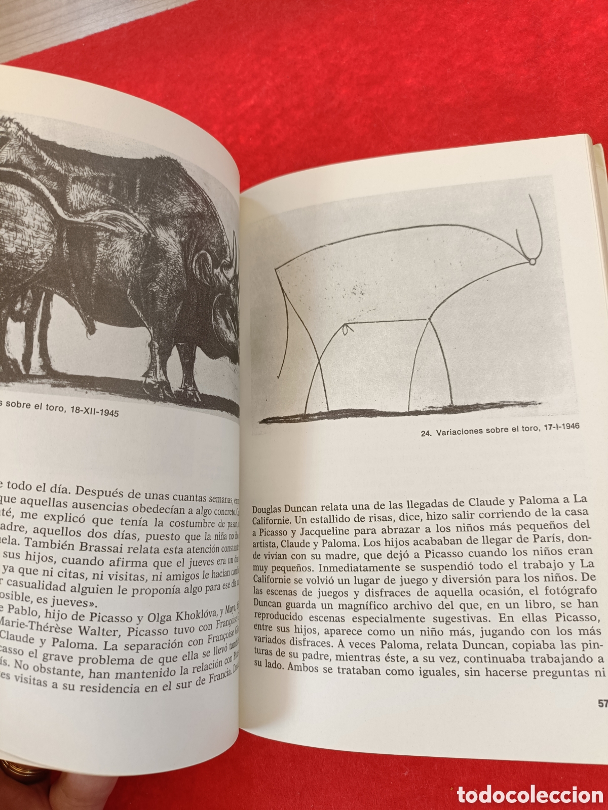 Libros de segunda mano: PICASSO 85. C. RODR&Iacute;GUEZ -AGUILERA. - Foto 13
