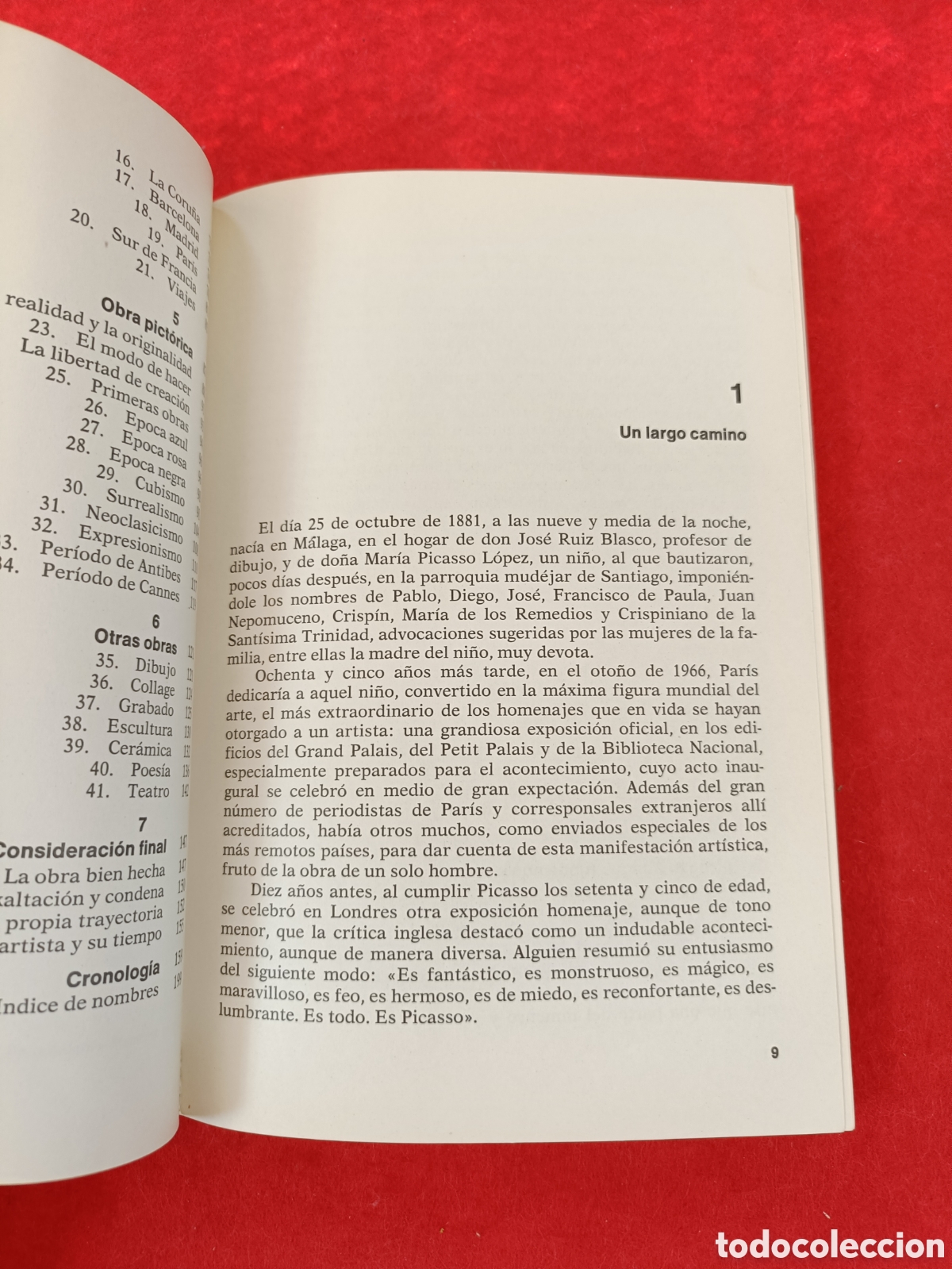 Libros de segunda mano: PICASSO 85. C. RODR&Iacute;GUEZ -AGUILERA. - Foto 14