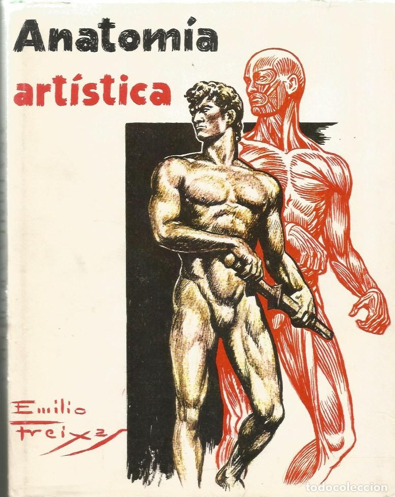Libros de segunda mano: ANATOM&Iacute;A ART&Iacute;STICA - EMILIO FREIXAS - Foto 1