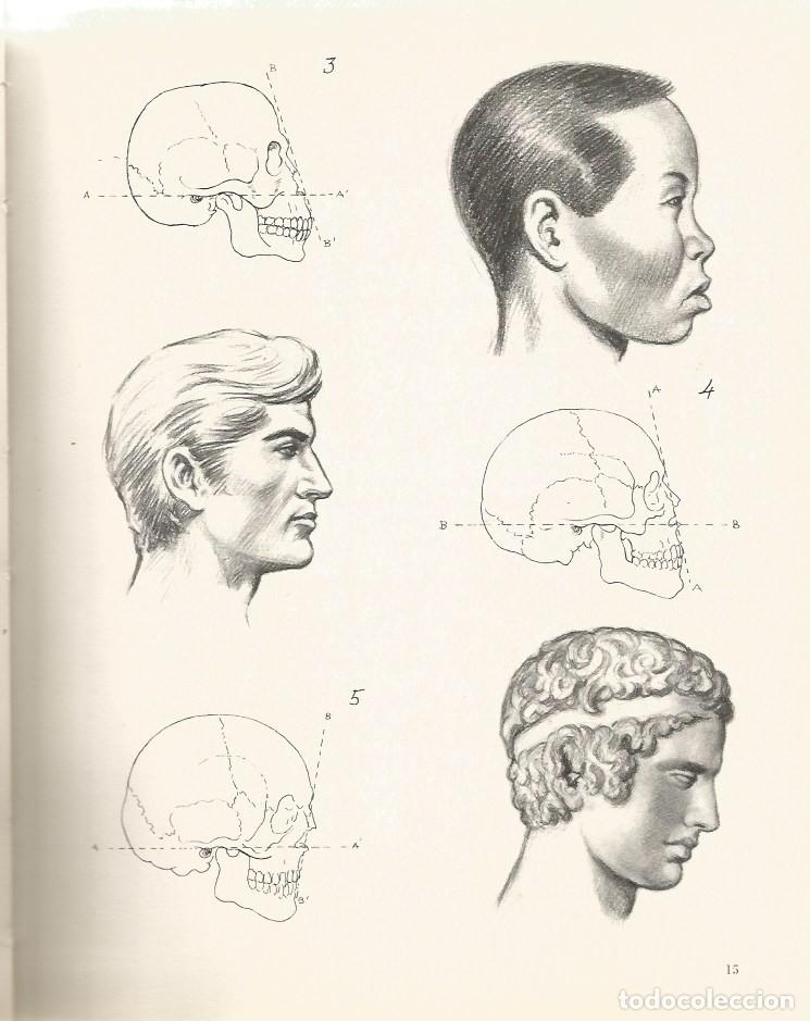 Libros de segunda mano: ANATOM&Iacute;A ART&Iacute;STICA - EMILIO FREIXAS - Foto 4