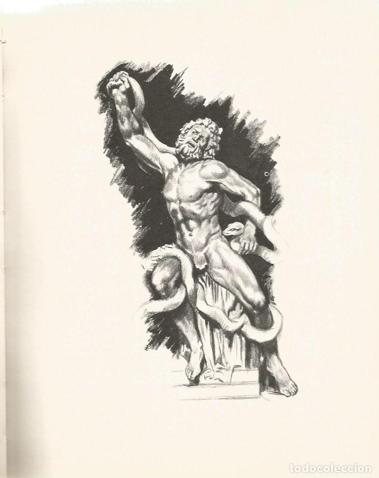 Libros de segunda mano: ANATOM&Iacute;A ART&Iacute;STICA - EMILIO FREIXAS - Foto 6