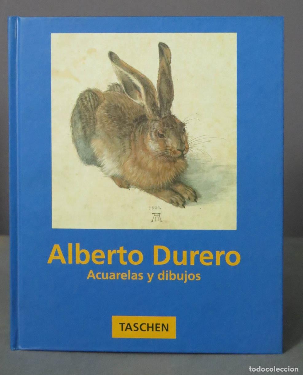Libros de segunda mano: Acuarelas y dibujos Durero - Foto 1