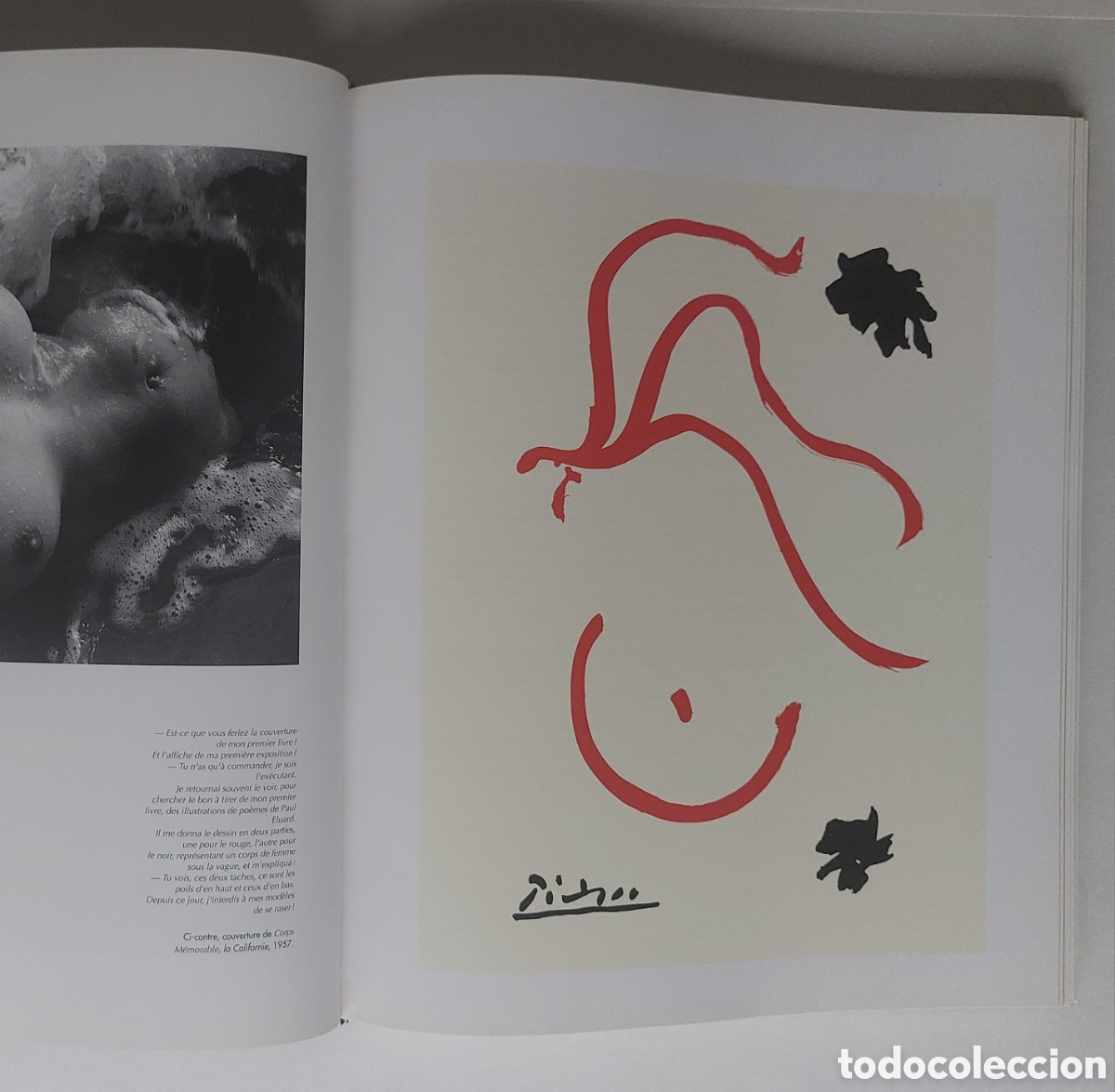 Libros de segunda mano: Picasso Mon Ami Lucien Clergue - Foto 13