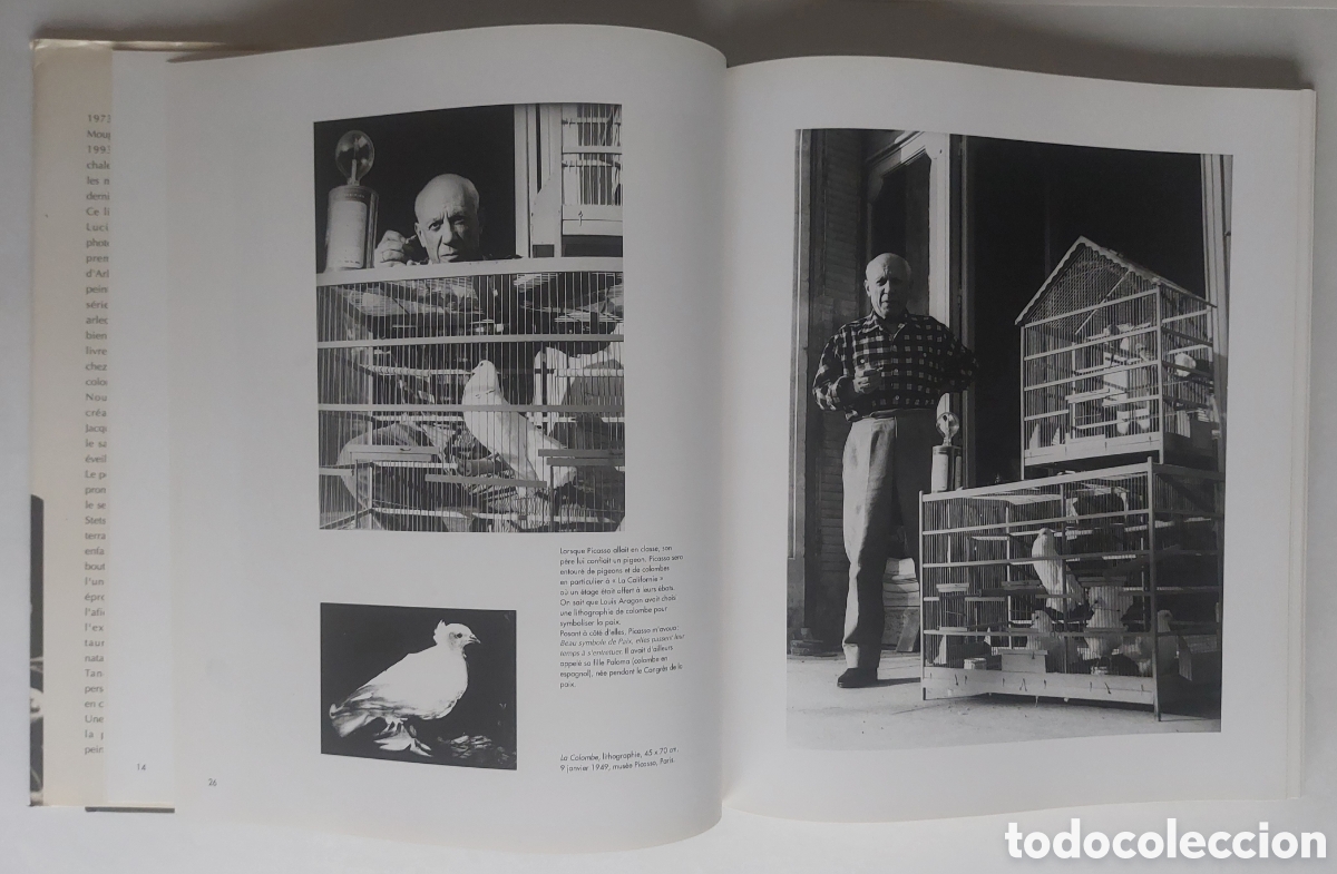 Libros de segunda mano: Picasso Mon Ami Lucien Clergue - Foto 20
