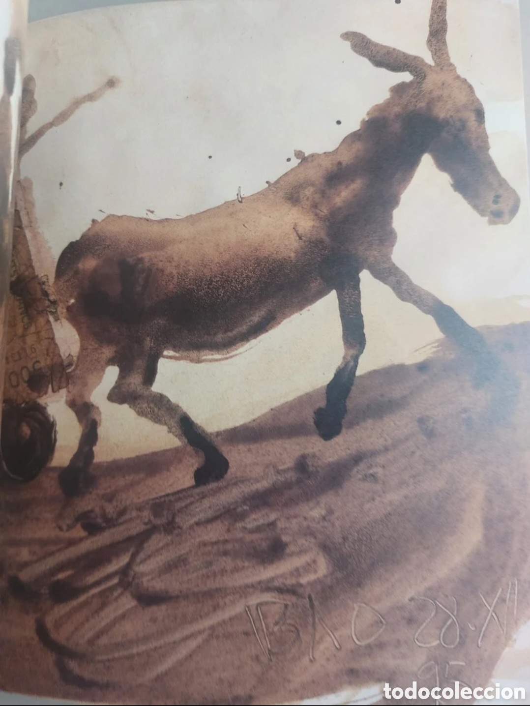Libros de segunda mano: Miquel Barcel&oacute;. Carnet de dessins. - Foto 6