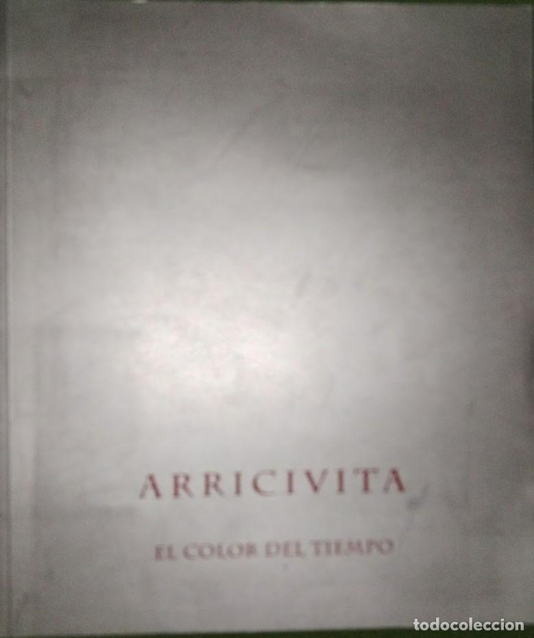 Libros de segunda mano: ARRICIVITA EL COLOR DEL TIEMPO 1996-2011 CAT&Aacute;LOGO EXPOSICI&Oacute;N