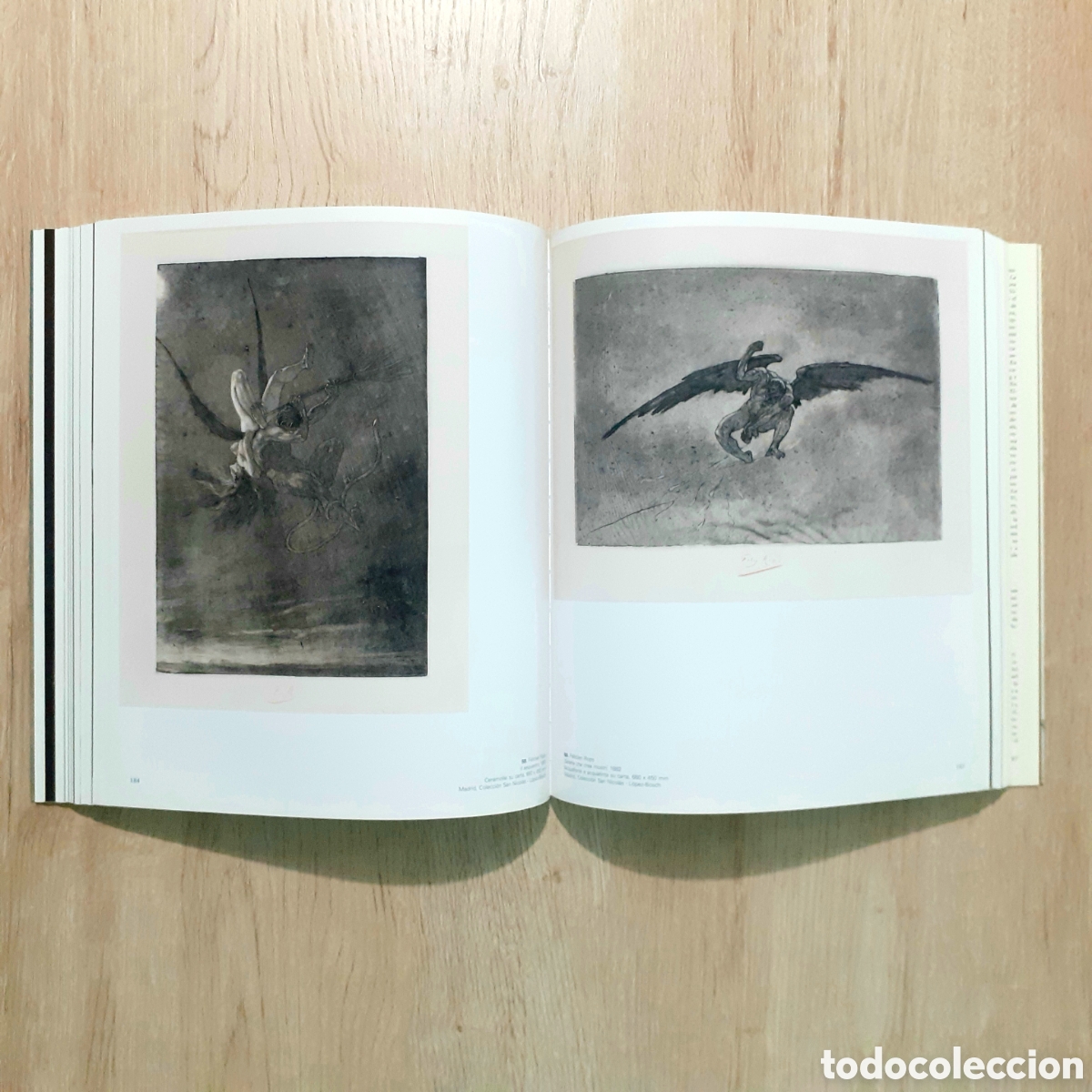 Libros de segunda mano: Libro GOYA E IL MONDO MODERNO - Foto 14