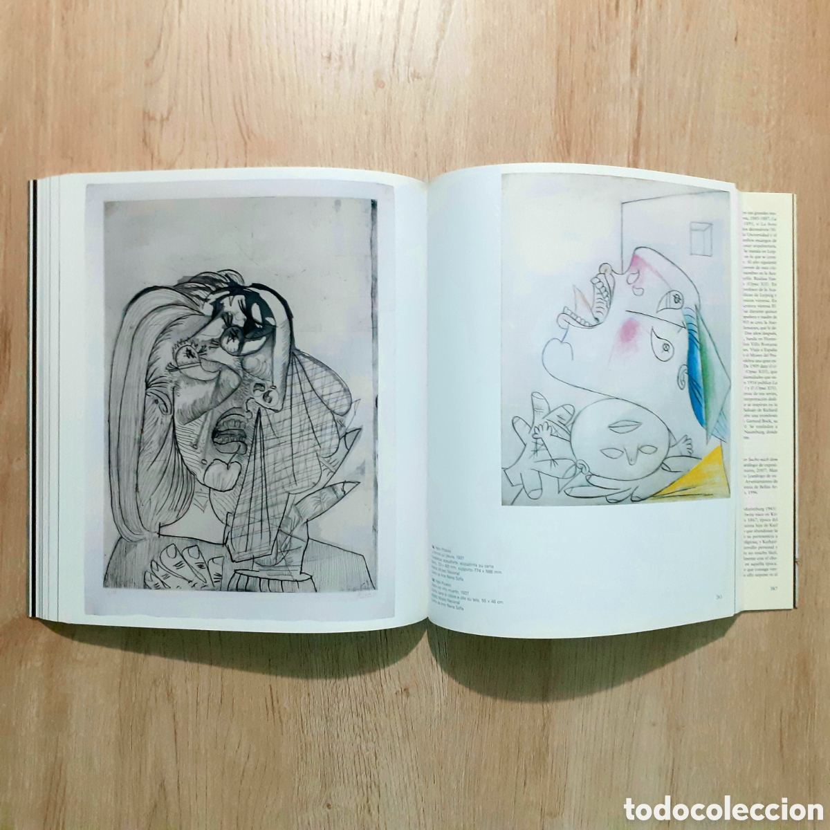 Libros de segunda mano: Libro GOYA E IL MONDO MODERNO - Foto 20