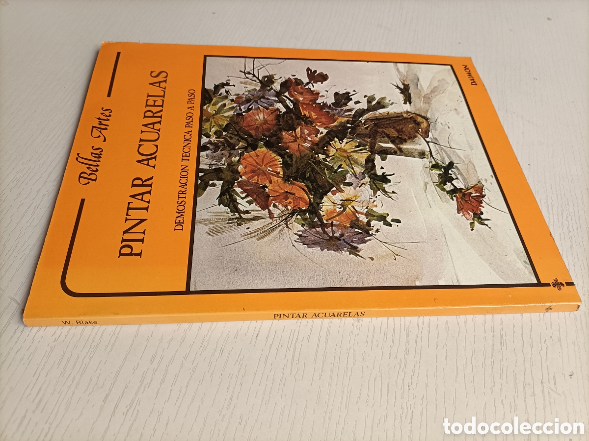 Libros de segunda mano: Pintar acuarelas. Demostraci&oacute;n t&eacute;cnica paso a paso.. t&eacute;cnicas pintura