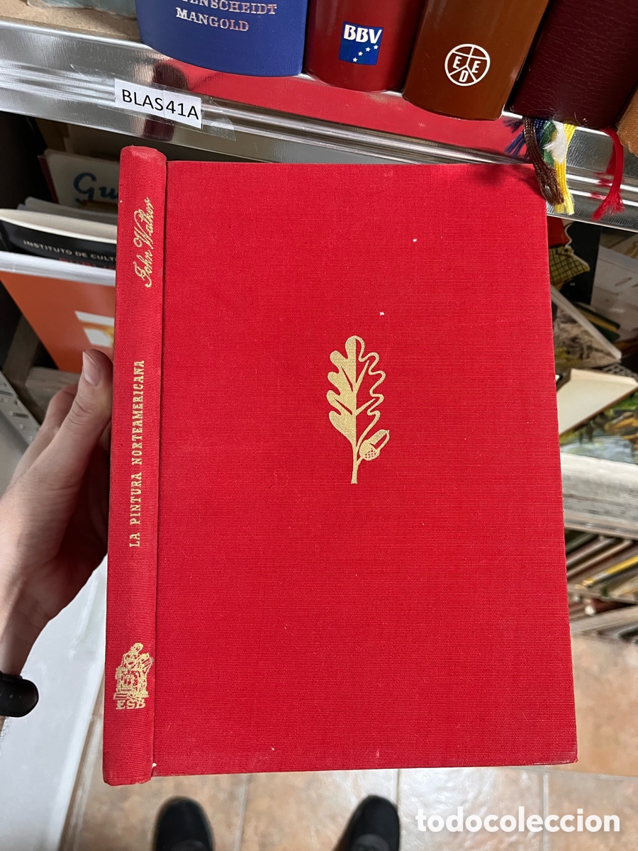 Libros de segunda mano: Blas41A JOHN WALKER- LA PINTURA NORTEAMERICANA VERSI&Oacute;N ESPA&Ntilde;OLA DE CARMEN OLIV&Eacute;, SEIX BARRAL