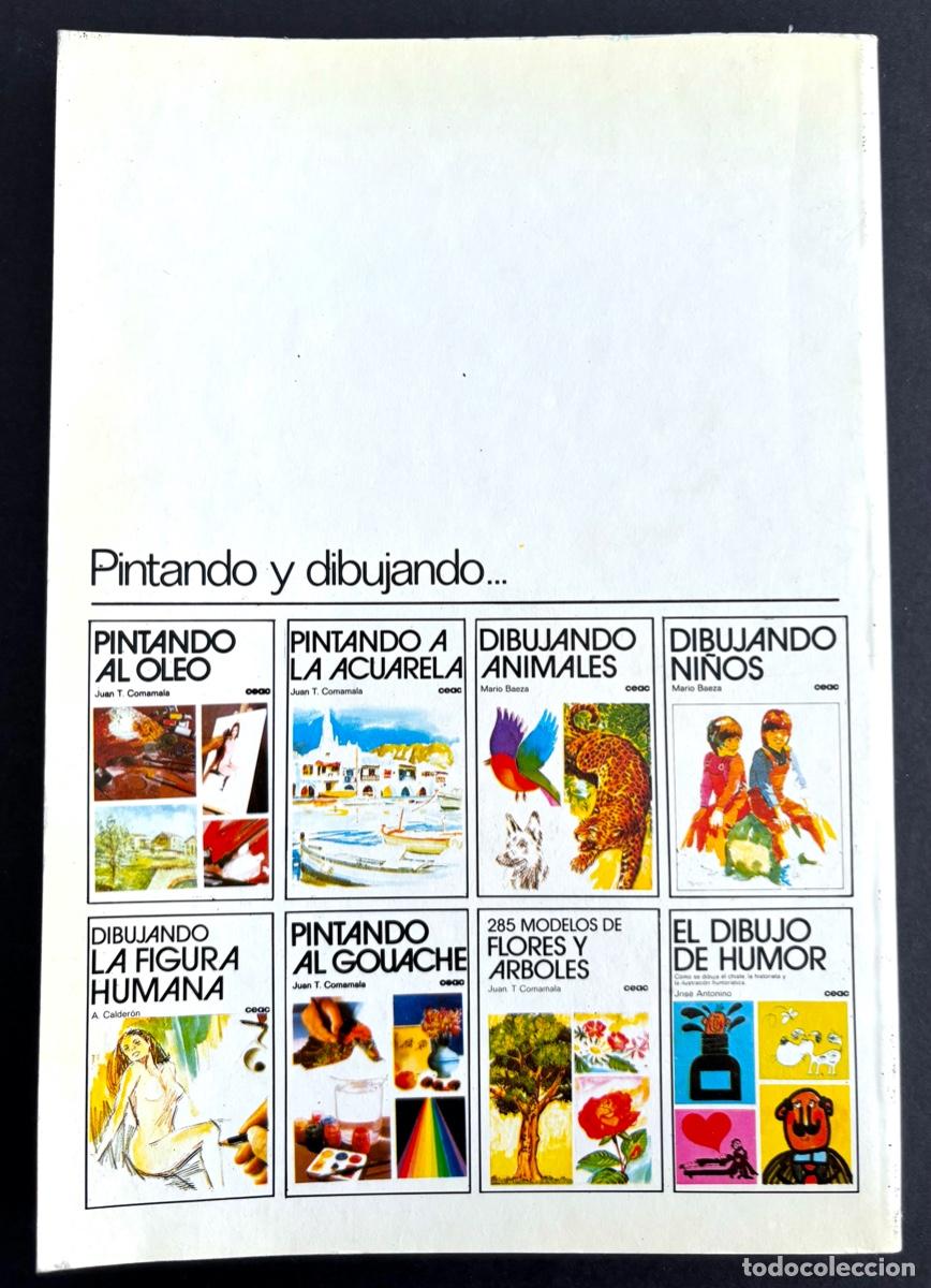 Libros de segunda mano: PINTANDO AL GUACHE EDITORIAL CEAC 1981 - Foto 2