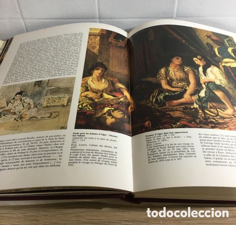 Libros de segunda mano: Delacroix. Maurice S&eacute;rullaz. Texto en franc&eacute;s - Foto 3