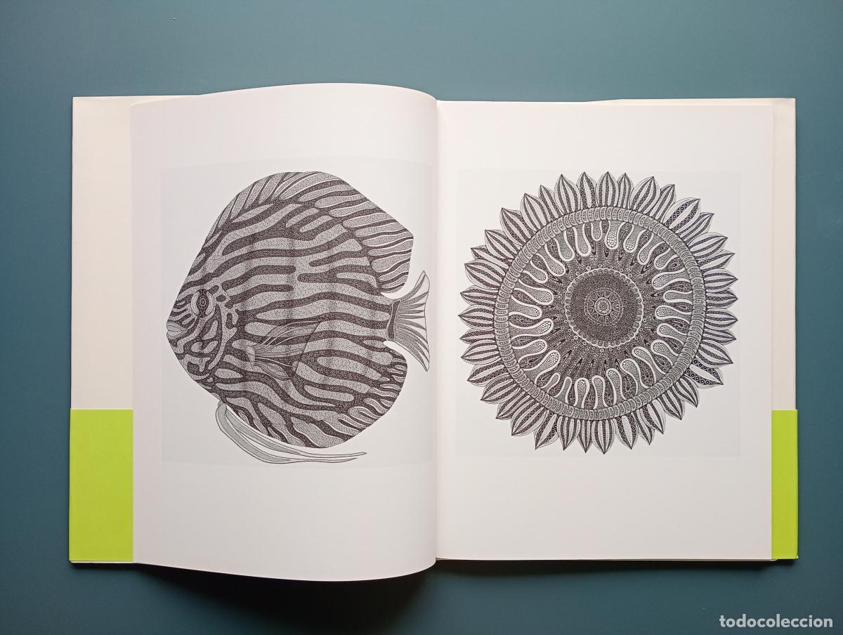 Libros de segunda mano: Zoom - Suzuki, Masako - Foto 8