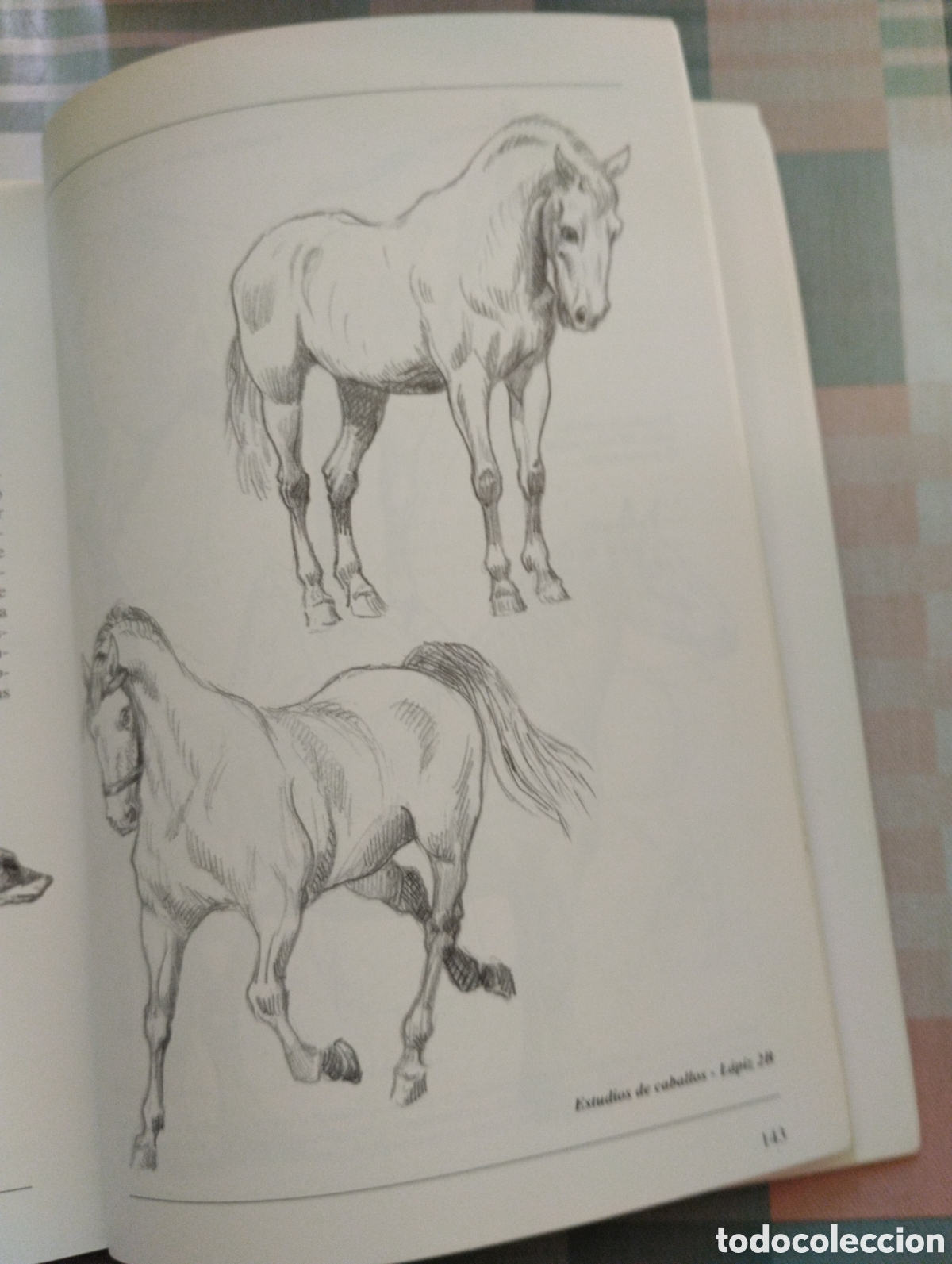 Libros de segunda mano: CURSO DE DIBUJO A L&Aacute;PIZ - Foto 24