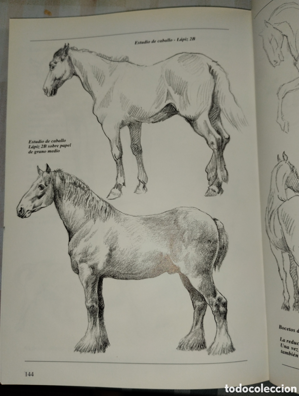 Libros de segunda mano: CURSO DE DIBUJO A L&Aacute;PIZ - Foto 25