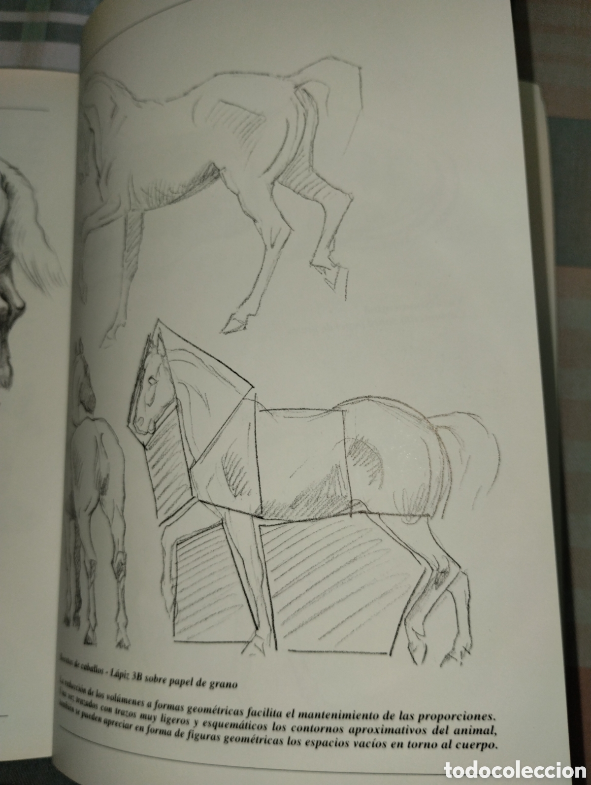 Libros de segunda mano: CURSO DE DIBUJO A L&Aacute;PIZ - Foto 26