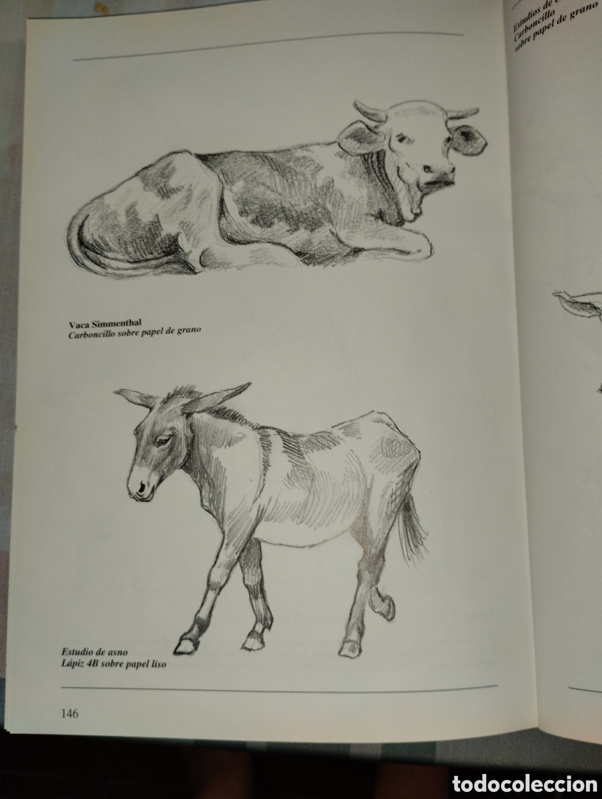 Libros de segunda mano: CURSO DE DIBUJO A L&Aacute;PIZ - Foto 27
