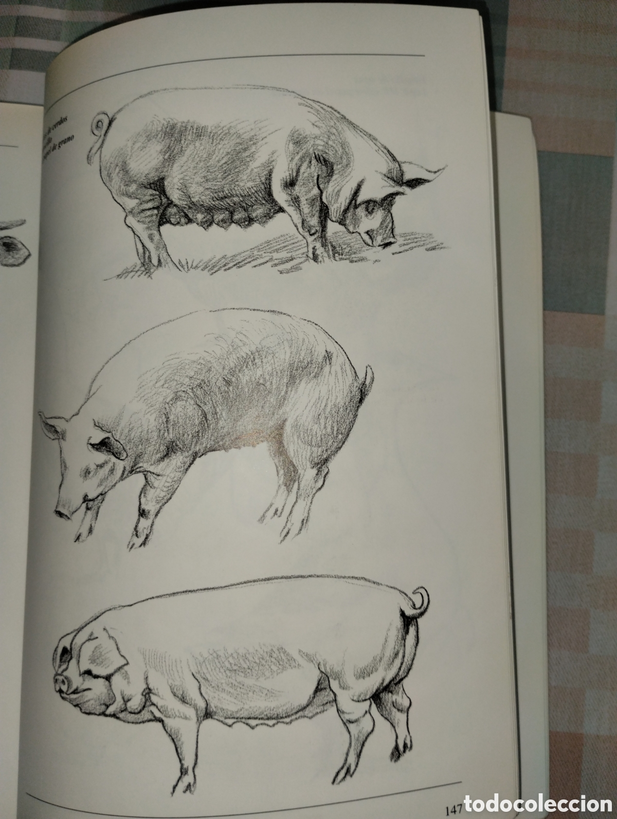 Libros de segunda mano: CURSO DE DIBUJO A L&Aacute;PIZ - Foto 28