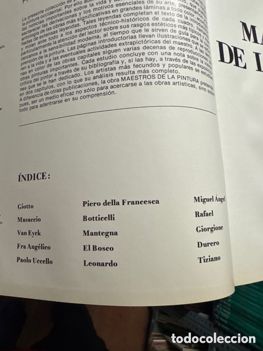 Libros de segunda mano: Libros Maestros de la Pintura - Foto 14