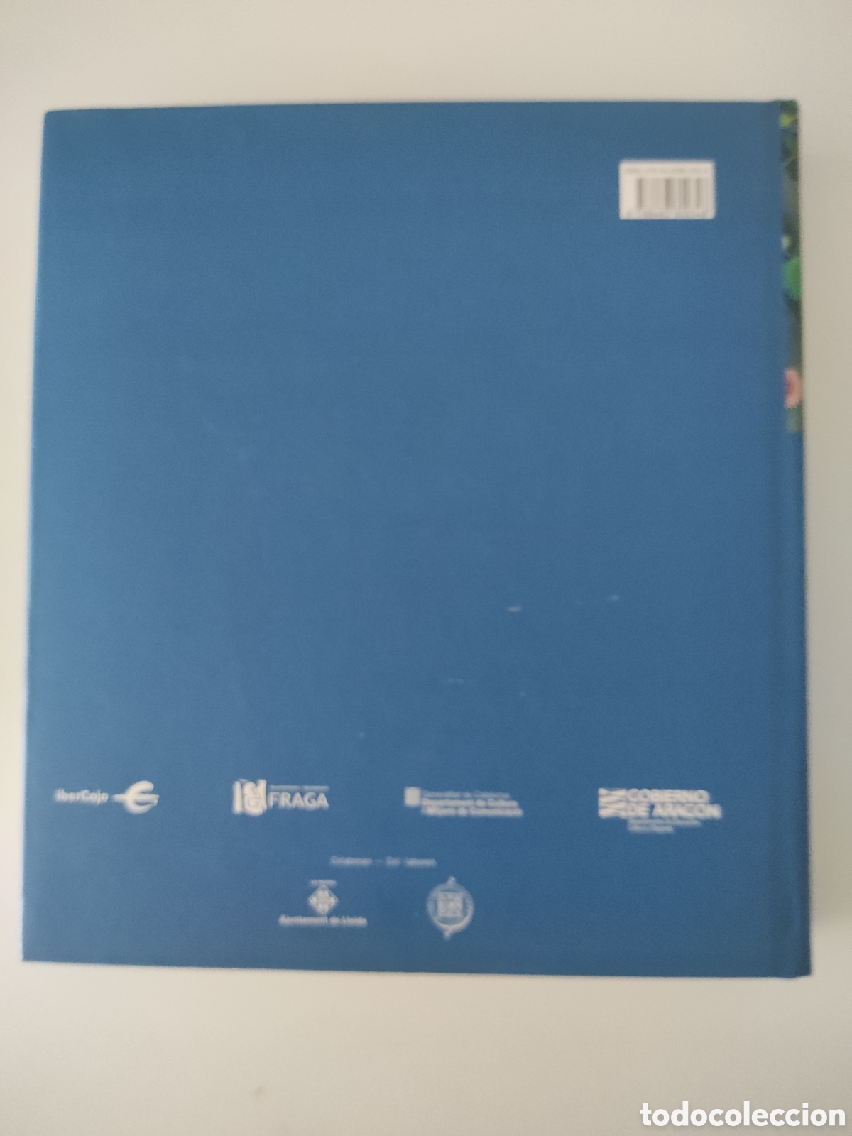 Libros de segunda mano: Viladrich Primitivo y perdurable Primitiu i perdurable. - Foto 2