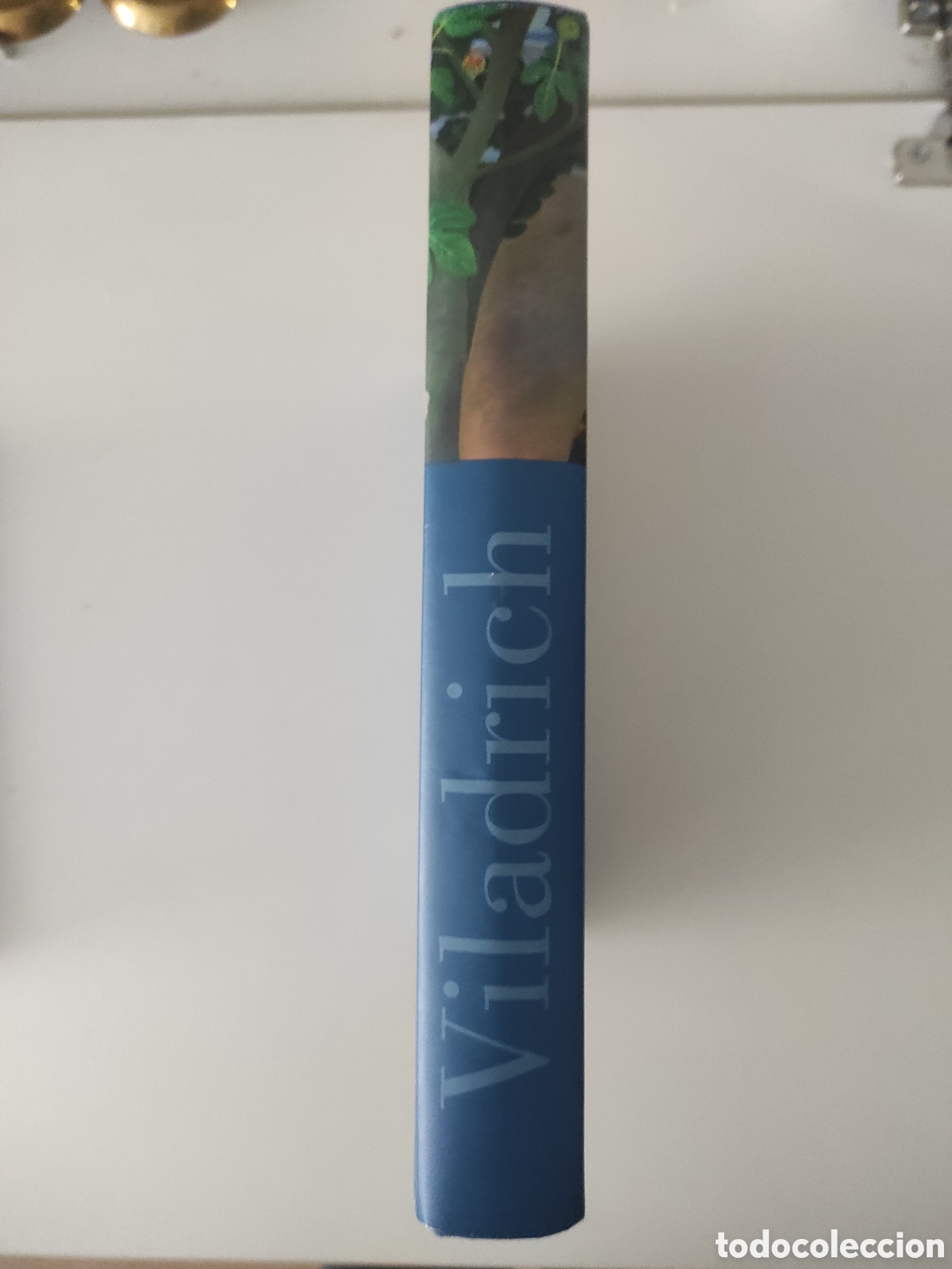 Libros de segunda mano: Viladrich Primitivo y perdurable Primitiu i perdurable. - Foto 3