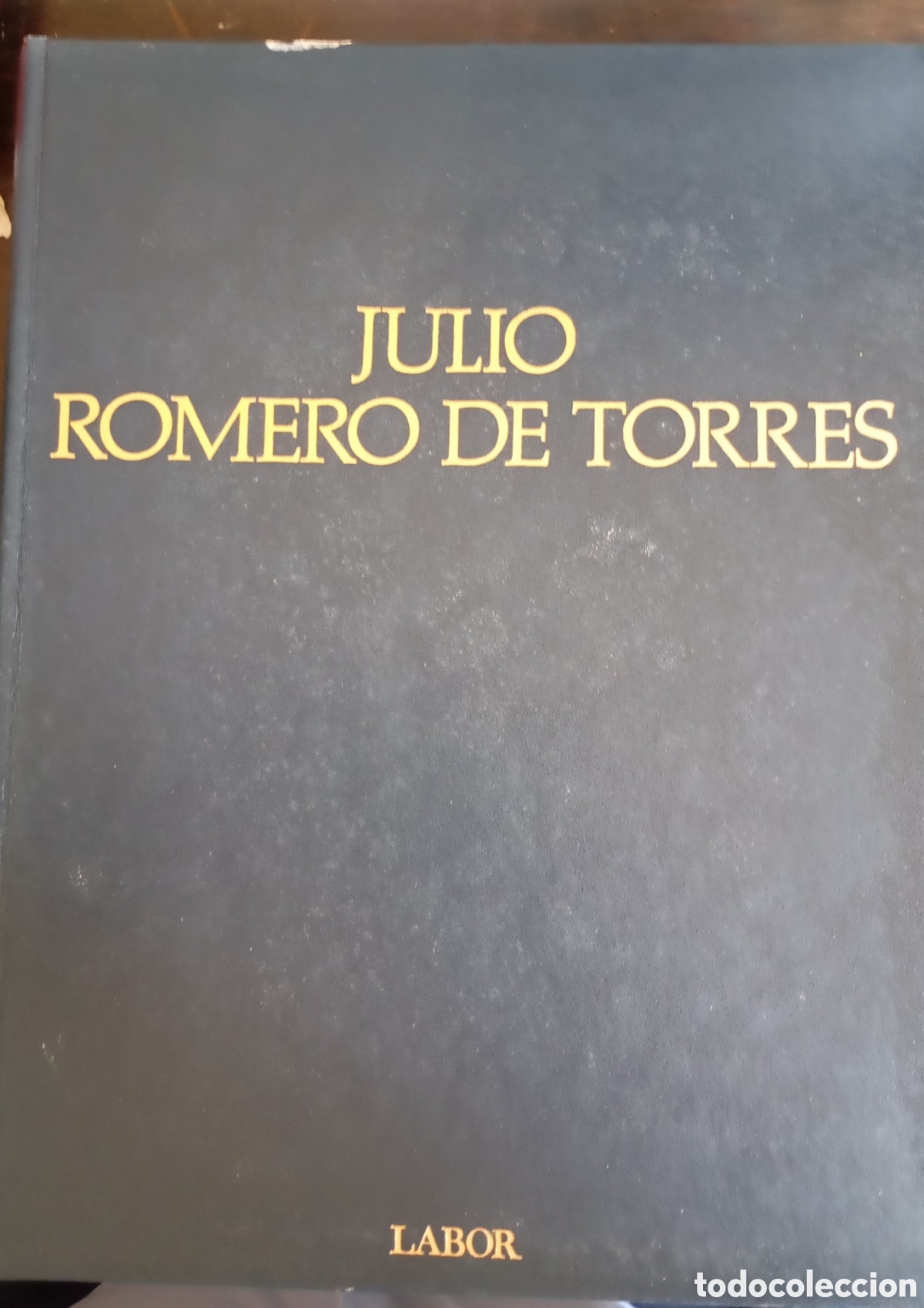 Livros em segunda m&atilde;o: Pintor Julio Romero de Torres libro sobre este pintor ediciones Labor