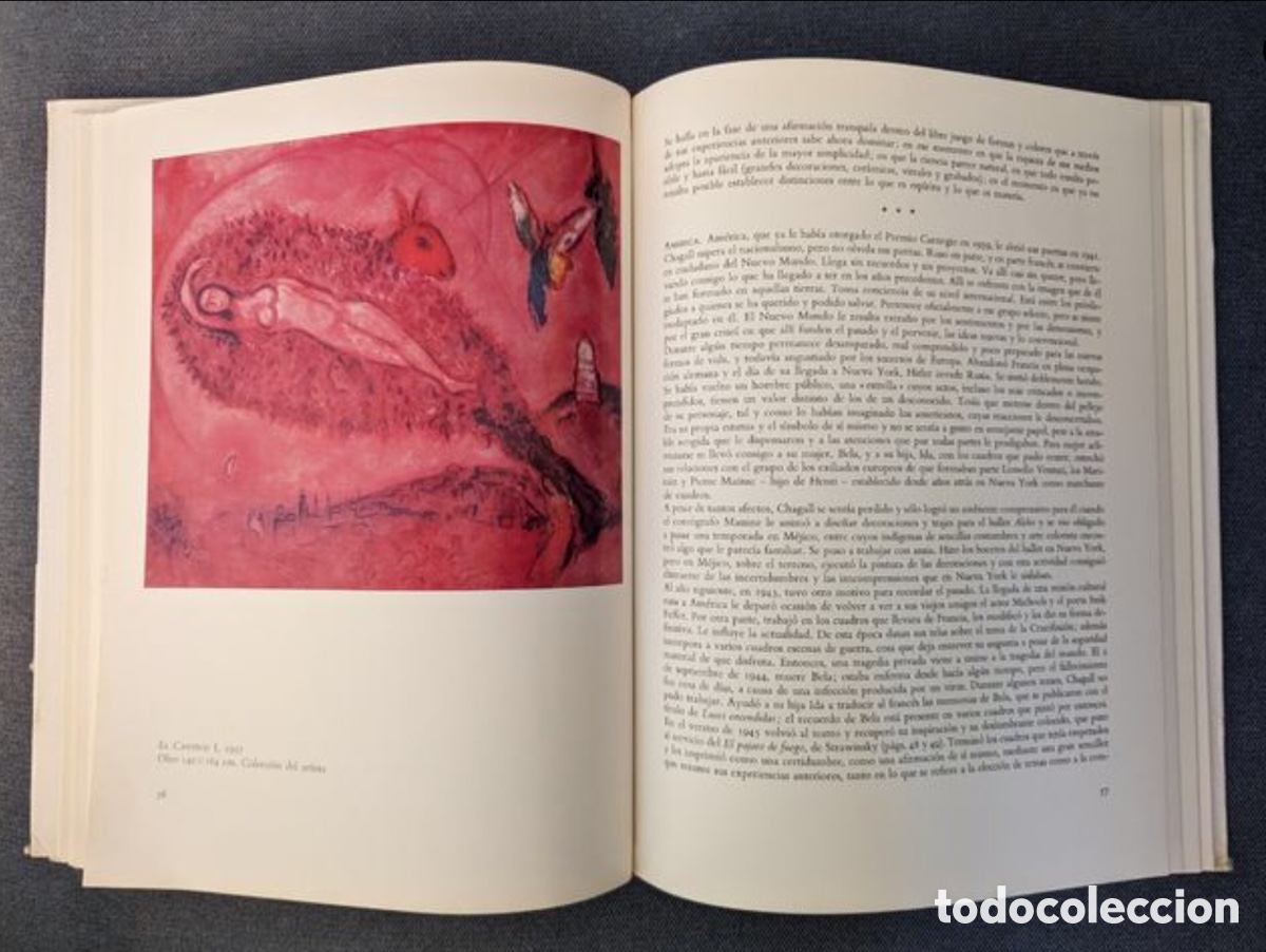 Libros de segunda mano: Libro Chagall. Raymond Coginat - Foto 5