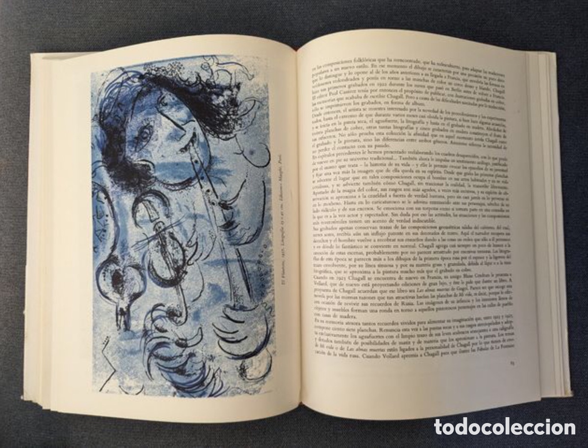 Libros de segunda mano: Libro Chagall. Raymond Coginat - Foto 7