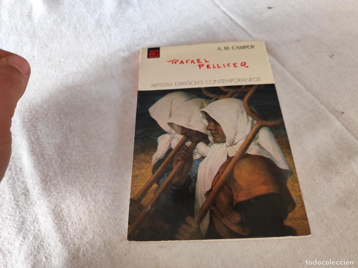 Libros de segunda mano: RAFAEL PELLICER / A.M.CAMPOY / SUX 12 - Foto 1