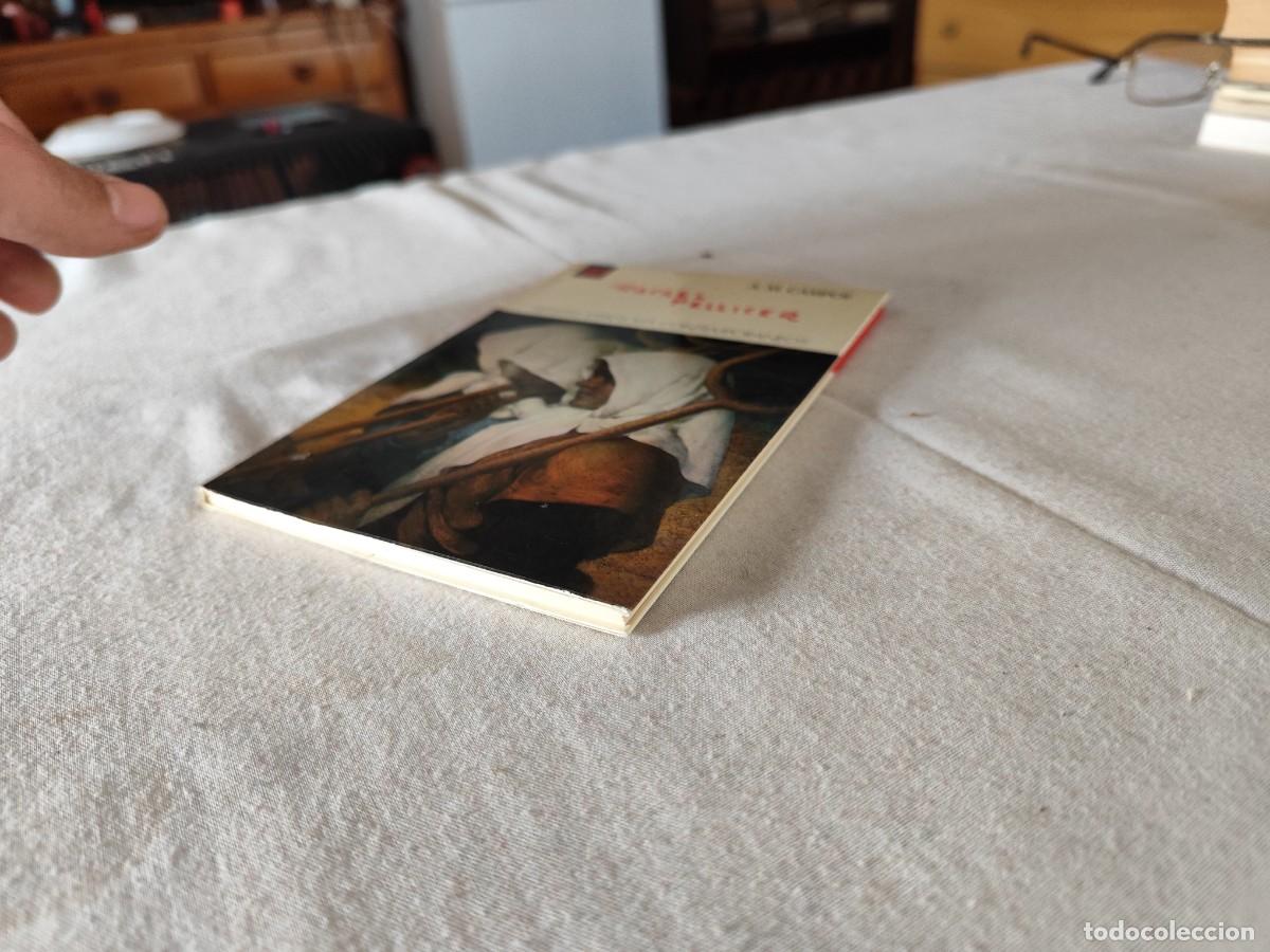 Libros de segunda mano: RAFAEL PELLICER / A.M.CAMPOY / SUX 12 - Foto 3