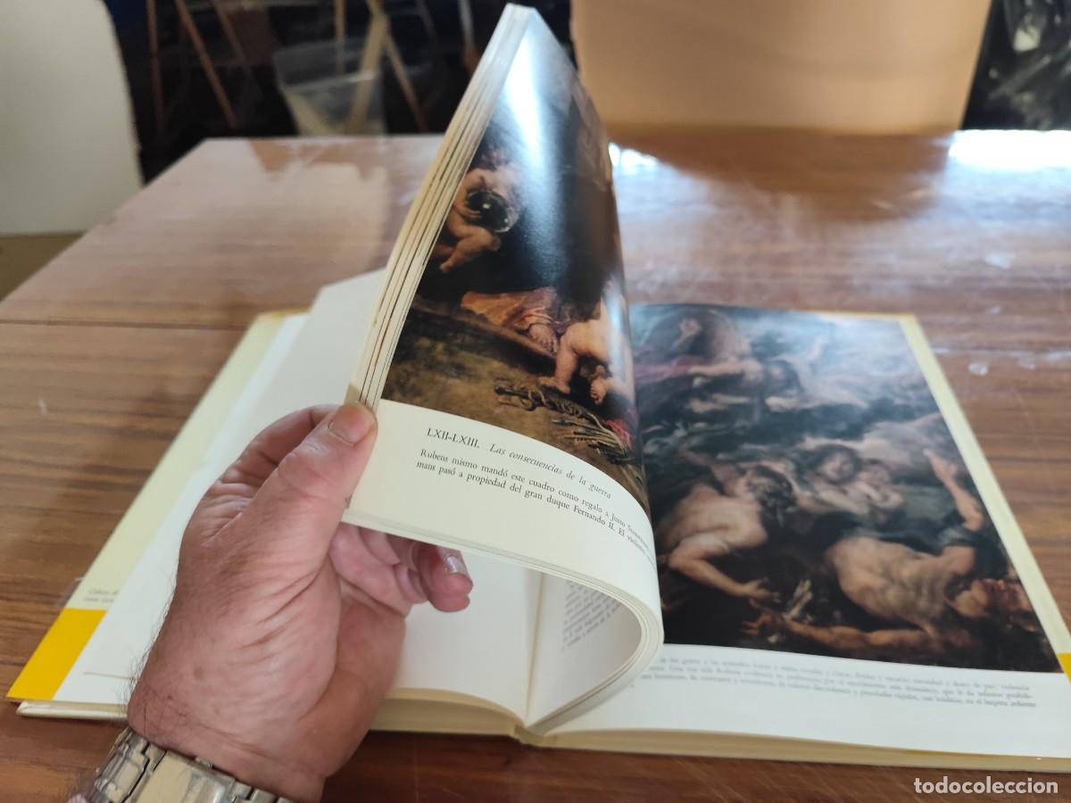 Libros de segunda mano: RUBENS / / EVA 139 / TEIDE - Foto 7