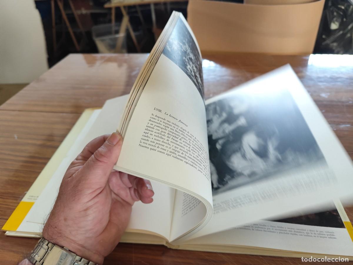 Libros de segunda mano: RUBENS / / EVA 139 / TEIDE - Foto 8