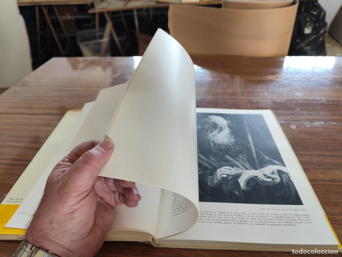 Libros de segunda mano: RUBENS / / EVA 139 / TEIDE - Foto 10